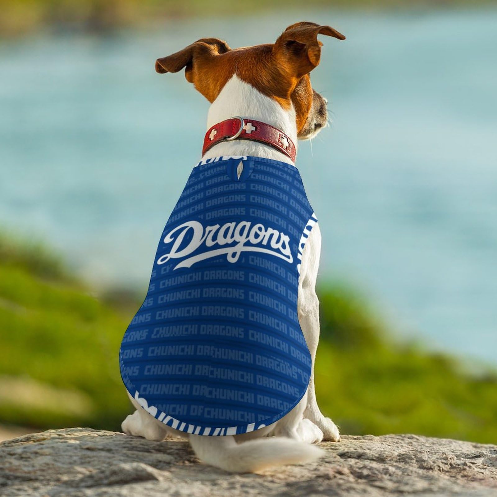 Amazon | 中日ドラゴンズ ペット服 犬服 ドッグウェア Tシャツ タンク